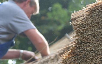 professional Nadderwater thatchers