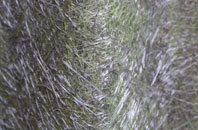 Nadderwater fibreglass roof work